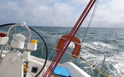 Zelfsturing – Leiderschap – Zingeving – in 2025