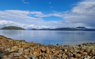 10 tips voor minder stress en meer voldoening – in 2025