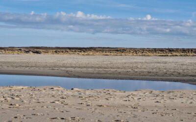 Drijfveren en time management